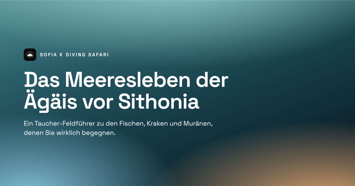 Das Meeresleben der Ägäis: Was Sie beim Tauchen vor Sithonia sehen