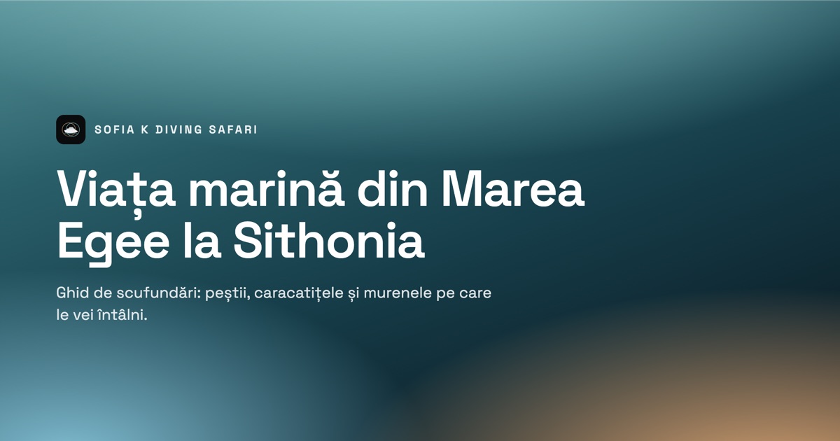 Viața marină din Marea Egee: scufundări la Sithonia